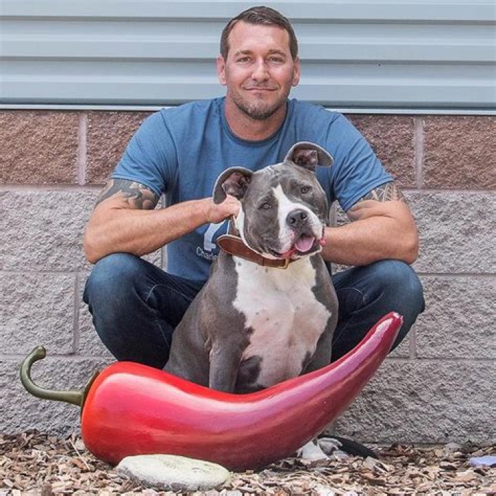 Why did Brandon quit Lucky Dog? – Celebrity.fm – #1 Official Stars, Business & People Network, Wiki, Success story, Biography & Quotes