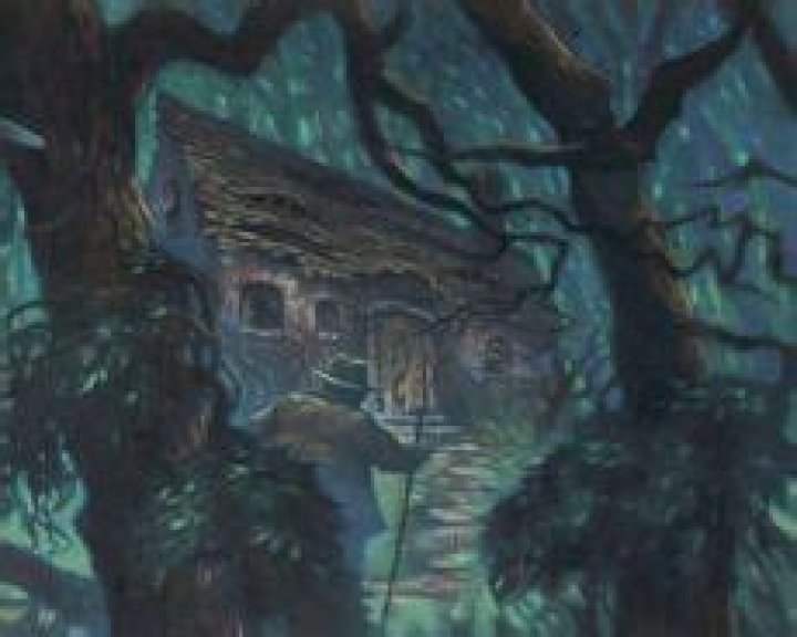 Why didn’t Bob Ogden understand what Morfin was saying?