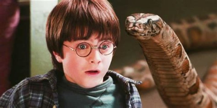 Why Harry Potter can talk to snakes? – Celebrity.fm – #1 Official Stars, Business & People Network, Wiki, Success story, Biography & Quotes
