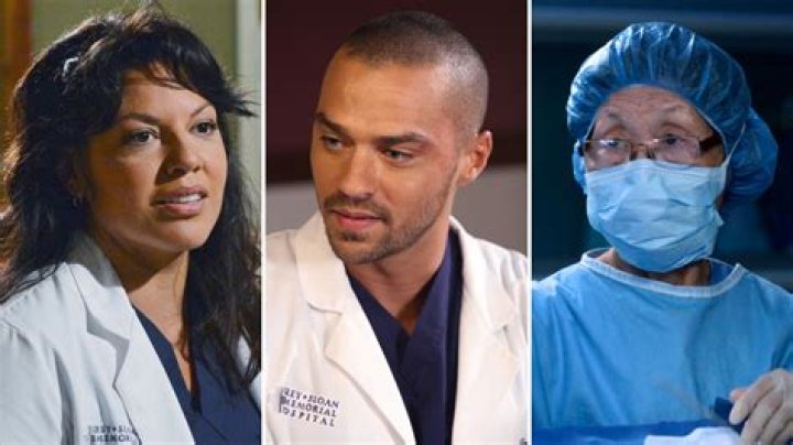 Why is BokHee on GREY’s anatomy? – Celebrity.fm – #1 Official Stars, Business & People Network, Wiki, Success story, Biography & Quotes