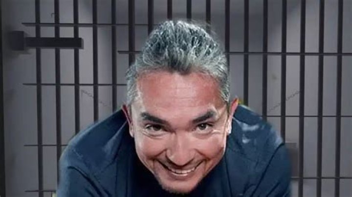 Dlaczego Cesar Millan jest tak kontrowersyjny? – Celebrity.fm