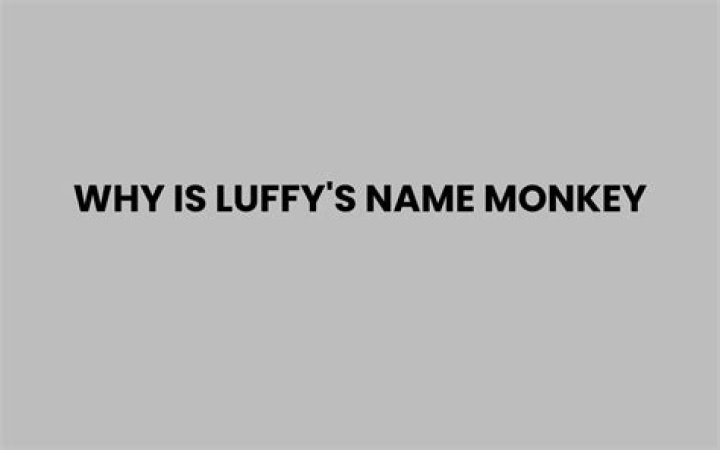 ¿Por qué Luffy se llama mono? – Celebrity.fm