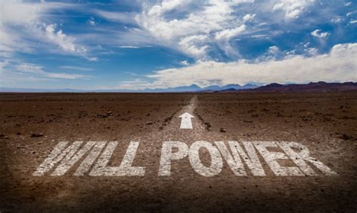 Will Power (YouTube Star) - Age, Birthday, Bio, Facts, Family, Net Worth, Height & More